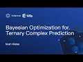 Bayesian Optimization for Ternary Complex Prediction - Noah Weber