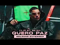 FILIPE RET, DALLASS - Quero Paz (Gelouko Extended)