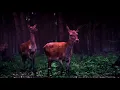 Kanye West - All Mine (Oficial Music Video)