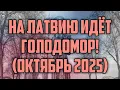 Download Lagu НА ЛАТВИЮ ИДЁТ ГОЛОДОМОР! (ОКТЯБРЬ 2025) | КРИМИНАЛЬНАЯ ЛАТВИЯ