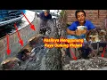 Download Lagu Rejeki Nomplok!! Pasang Perangkap Hasilnya Menggunung Kaya Gunung Rinjani Langsung Masak dan Jual