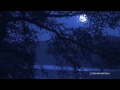 Download Lagu GIOVANNI MARRADI - Nocturnes