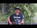 Download Lagu SESUATU YANG TERTUNDA || iwan fals ft padi  || cover ribiel fals ||#iwanfalsptpadi#iwanfalsftpadicov