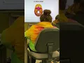 Anatomy and Physiology 1 Lab Practical 2 review session Part 1