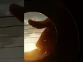 I Fall Apart Post Malone Fingerstyle Cover