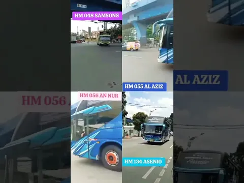 bukti kalau PO Haryanto gak pernah redup #shorts #poharyantoterbaru