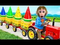 Download Lagu Monyet Bon Bon Imut makan buah-buahan di rumah dan menjelajahi lautan yang penuh keseruan
