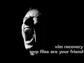 Vim crashed and now I get an error message
