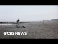 Why do shark attacks happen and how common are they