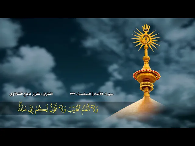 ⁣الصفحة 133 | سورة الأنعام