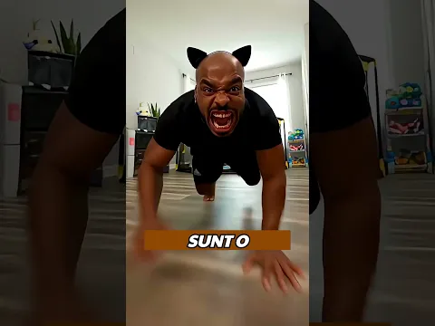 Șantaj felin Se întoarce doar dacă vorbești frumos! 🐾💥