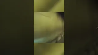 Idiots in Cars Car Crash Idiots In Cars Compilation Car Fail