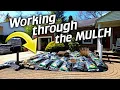 The landscaping continues - Vigoro Black Mulch from Home Depot
