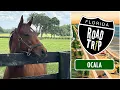 Florida Road Trip Ocala 2025 FULL EPISODE