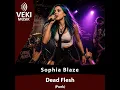 Dead Flesh (Punk)