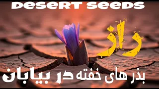 بقا در سخت ترین شرایط زمین  دندنها