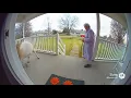grandma vs a fat ass goat