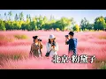 Download Lagu 北京的秋天一定是浪漫的！奥林匹克森林公园的粉黛子开花了，花语是美好的等待【行走世界的北京老刘】