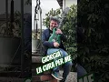 Download Lagu @GiorgiaOfficialChannel - La cura per me #giorgia #sanremo #music #guitar #play #funny #funnyvideo