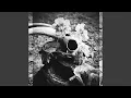 Download Lagu EEL LOCRO (instrumentale versie)