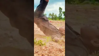 Baaghi 3 Full Movie Tiger Shroff 