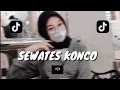 Download Lagu dj sewates konco,dj sewates konco full bass,dj sewates konco viral tiktok,dj sewates konco kane