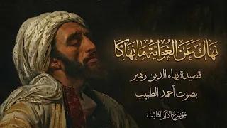 نهاك عن ال غواي ة م ا نهاك ا    أحمد الطبيب  دندنها