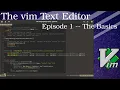 The vim Text Editor -