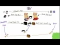101 Simplified man in the middle attack MITM