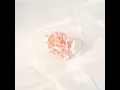 Love Song