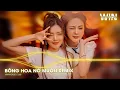 Download Lagu BÔNG HOA NỞ MUỘN REMIX ( BẢN TREND TIKTOK ) CẢ ĐỜI ANH KHÔNG DÁM MƠ REMIX TIKTOK
