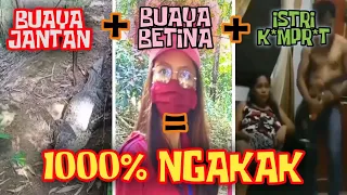 Download BUAYA DARAT JANTAN VS BETINA , ASUPAN MEME TERBARU🤣🤣 | ASUPAN 8 MP3