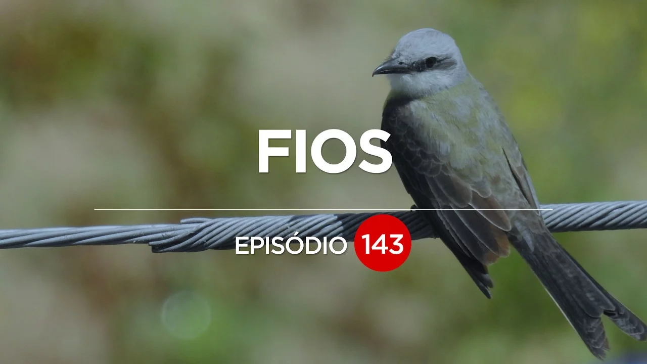 FLY-BY-WIRE - Como assim meu avião voa por fios? EP. 143