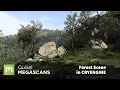 Create a Forest Scene in CRYENGINE