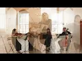 When She Loved Me - Sarah McLachlan | Toy Story 2 | String Quartet Cover