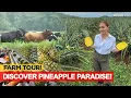 FARM HEAVEN? Libreng Pabahay, Paaral, Healthcare For Farmers! | Karen Davila Ep231