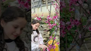  يا وردة في البستان   دندنها