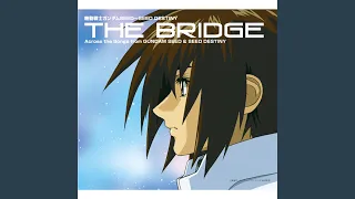 kimi wa boku ni niteiru