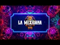 Calle 24 - Mala Novia (Letra / Lyrics)
