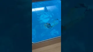 We saw a sea monster through our hatch 🦑