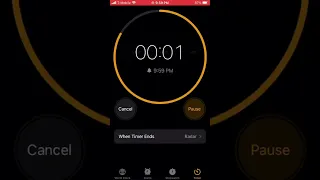 Classic One Second Timer 