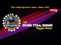 Download Lagu Zayn - Dusk Till Dawn Reggae Remix.