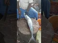 KASIMEDU MINNAL RAJA |VANJARAM FISH|CUTTING SKILLS IN KASIMEDU #kasimedu