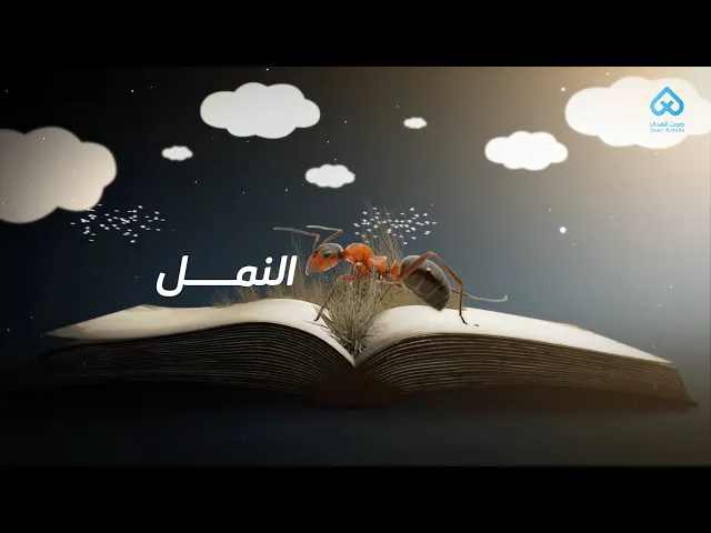 الحيوانات في القرآن | النمل 01