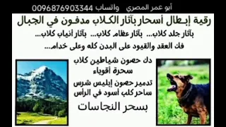 أقوي رقية لإبطال سحر الكلاب المرشوش والمدفون وفي البطون بدم وبول الكلاب والقطط بالدمار والمرض والسلب 