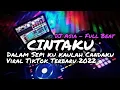 DJ DALAM SEPI KU KAULAH CANDAKU - CINTAKU FULL BEAT VIRAL TIKTOK - DJ ASIA REMIX