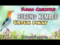 Download Lagu Suara Pikat Burung Kemade Paling Jitu || CRECETAN PEDAS BURUNG KEMADE