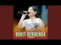 Download Lagu Bukit Berbunga