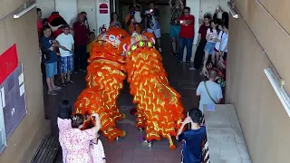                                                  دندنها