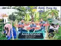 Download Lagu AMBO FAABOLO - Simple trio ( Official Music Video ) Lagu nias